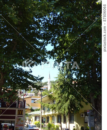 伊斯坦布爾鄉村小鎮和教堂 [土耳其] 87806068