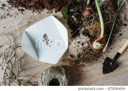 The concept of spring transplanting indoor plants at home. 87806404