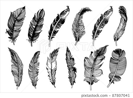 Hand drawn vintage feathers set. Vector... - Stock Illustration ...
