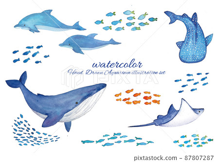 海洋生物的水彩手寫插圖集 87807287