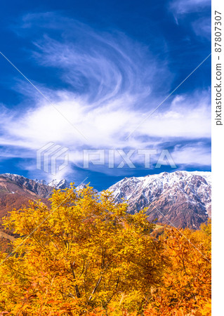 《Nagano Prefecture》 Hakuba Village / Sandan Autumn Leaves at the height of autumn leaves 《Nagano Prefecture》 Hakuba Village / Sandan Autumn Leaves at the height of autumn leaves 87807307