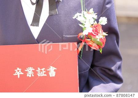 初中文憑學生 87808147