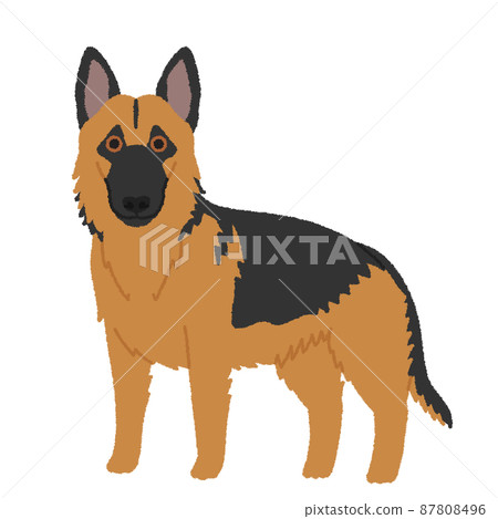 德國牧羊犬狗圖 87808496