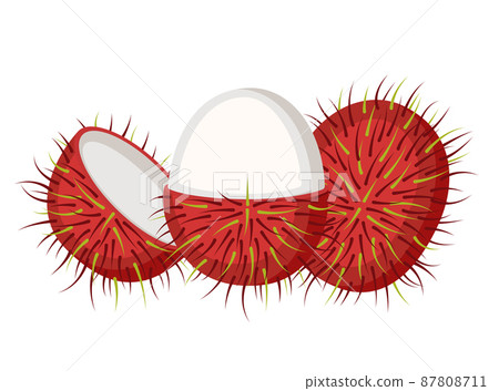 Rambutan, whole fruit and open, vector illustration 87808711