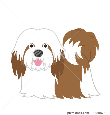 拉薩阿普索狗圖 87808780