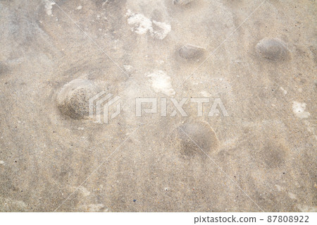 Bubbles in the sand showing that the tide is coming in Bubbles in the sand showing that the tide is coming in 87808922