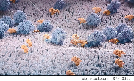 Neuronal activity in the brain, neural network, neuroactivity, synapses, dendrid, myelin 87810392