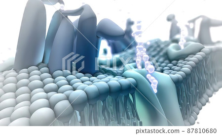 Lipid Medical 3d medical illustration. 87810680