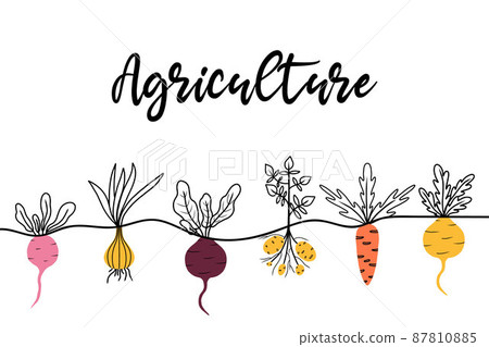 Banner or background with vegetables along the bottom. Hand-drawn illustration in doodle style. Banner with root crops. 87810885