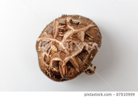 Shiitake mushroom 87810999