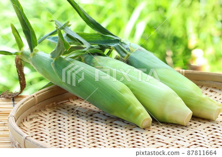 Harvest with corn husk, outdoor natural background Harvest with corn husk, outdoor natural background 87811664