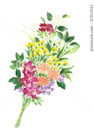 佛花供養【手繪水彩】白色背景透明背景可複制空間 87813031