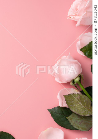 Valentine's Day Bouquet Roses Background Valentine's Day rose バレンタイン 87813042