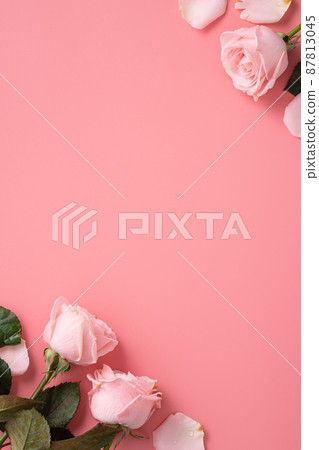 Valentine's Day Bouquet Roses Background Valentine's Day rose バレンタイン 87813045