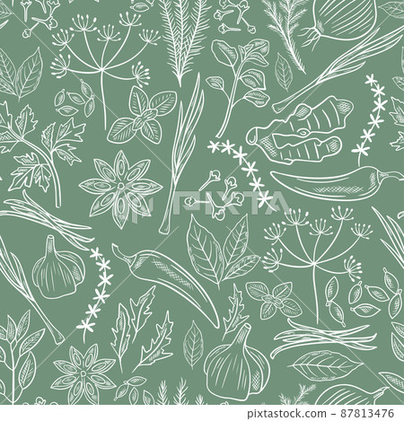 Spices, herbs and herbs hand engraved seamless pattern 87813476