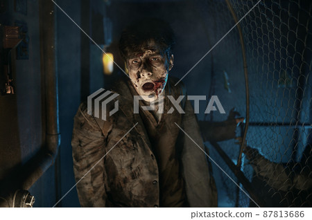 Insidious zombie looking for victim in house 87813686