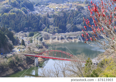 Tsukigase plum grove in full bloom 87813903