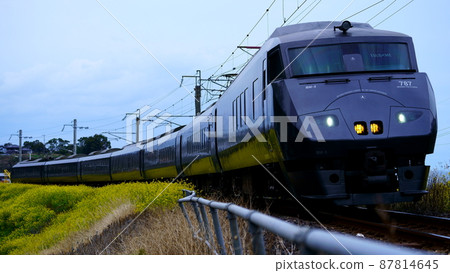 Hizen-Oura rape blossoms and black seagulls 87814645