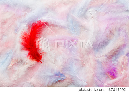 Close up to bright colorful feathers background. Colored feather background, top view 87815692