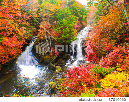 栃木縣奧日光市秋色的龍津瀑布 87816060