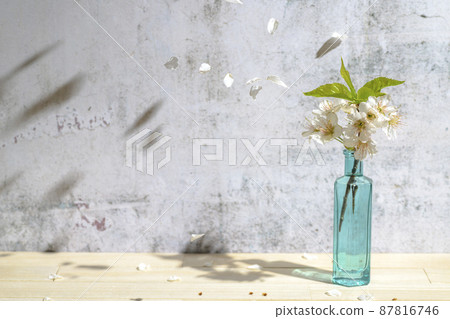 The light shining through the window and the cherry blossoms in the vase The light shining through the window and the cherry blossoms in the vase 87816746