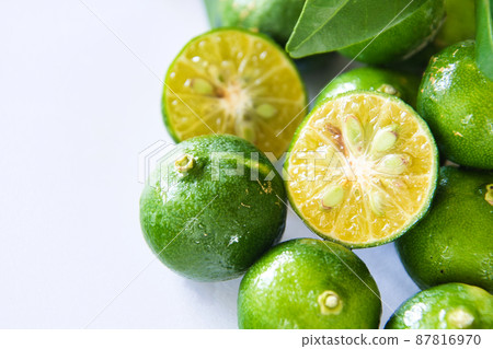 扁實檸檬 87816970