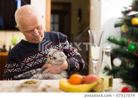 Positive ederly man celebrating New Year with cat at home 87817879