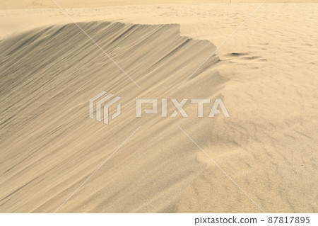 [鳥取]晴朗天氣下的鳥取沙丘 87817895