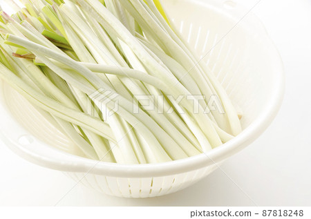 Island island (Okinawa Island Vegetable) 87818248