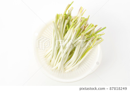 Island island (Okinawa Island Vegetable) 87818249