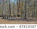Picnic and camping spot in the forest of Beavers Bend State Park at Broken Bow, Oklahoma 87819387