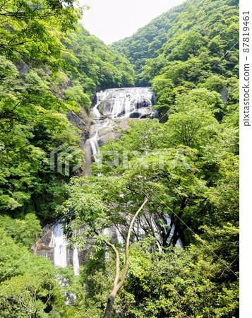 [Ibaraki Prefecture] Fukuroda Falls seen from the 1st waterfall 87819461