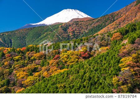 《Shizuoka Prefecture》 Mt. Fuji and Autumn Leaves / Myojin Pass 87819784