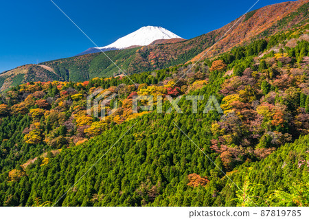 《Shizuoka Prefecture》 Mt. Fuji and Autumn Leaves / Myojin Pass 87819785