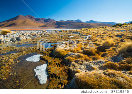 Laguna Colorada - red water lagoon. Bolivia. South America Laguna Colorada - red water lagoon. Bolivia. South America 87819846