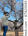Unrecognizable young man with his arms raised and cutting the branch of a tree 87820085