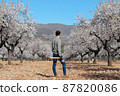 Woodcutter backwards looking at the empty field surrounded by flowering trees 87820086