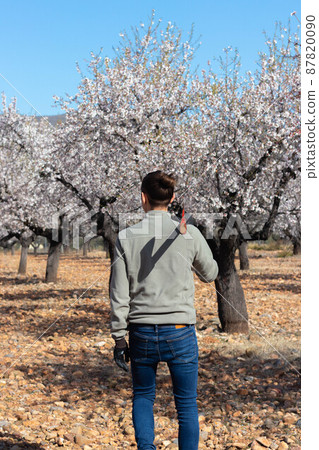 Young man lumberjack of backs walking towards the almond trees Young man lumberjack of backs walking towards the almond trees 87820090