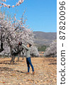 Young man in almond grove with rural landscape in the background 87820096