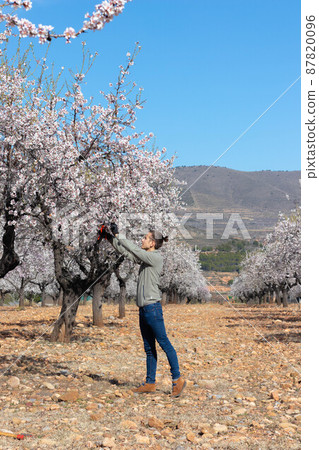Young man in almond grove with rural landscape in the background 87820096