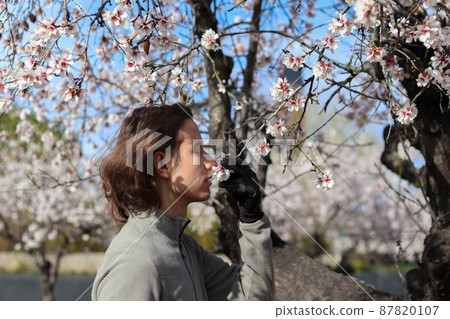 Long-haired young man smelling flowers from the tree in an almond grove Long-haired young man smelling flowers from the tree in an almond grove 87820107
