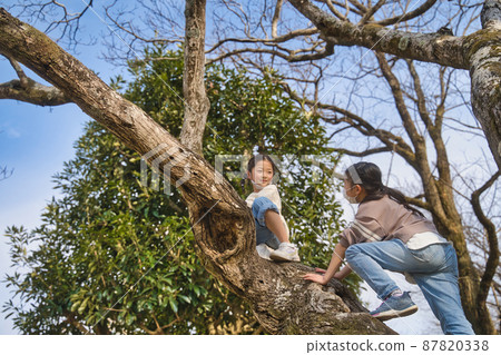 孩子們爬樹 87820338