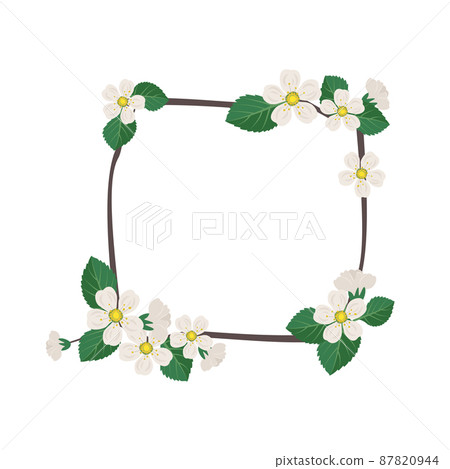 Square wreath of cherry or apple. Frame with white flowers. Spring blooming composition with buds and leaves. Festive decoration for wedding, holiday, postcard and design. Vector flat illustration 87820944