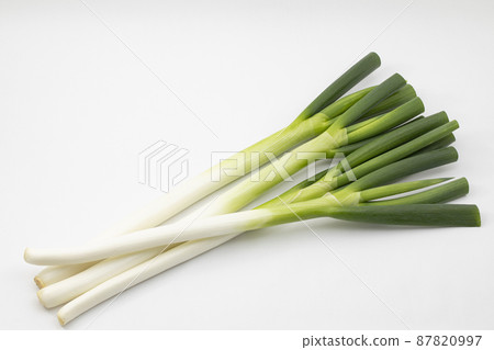 白洋蔥 長洋蔥 白洋蔥 長洋蔥 87820997