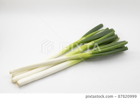 White onion long onion 87820999