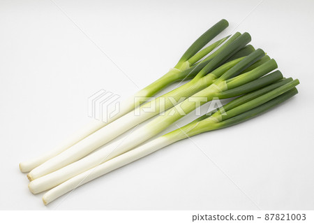 白洋蔥 長洋蔥 87821003