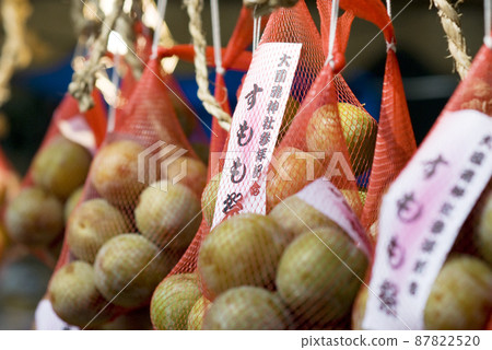 奧國玉神社秋祭舊瑞神門重建神社佛教寺廟陽光門瑞神門 奧國玉神社秋祭舊瑞神門重建神社佛教寺廟陽光門瑞神門 87822520