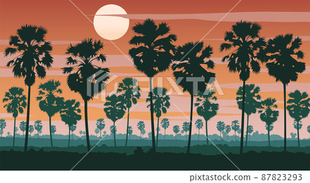 Silhouette scenery of landscape of Asia on tropical area with palm tree forest 87823293