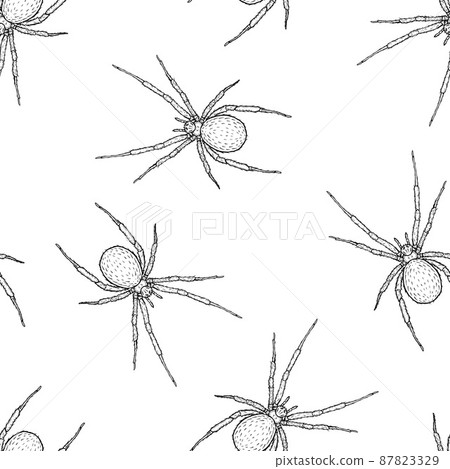 Seamless pattern of monochrome spiders illustration. Vector illustration template 87823329