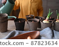 concept of gardening. little girl is engaged in planting seeds for seedlings, pouring earth into pots for growing crops. 87823634